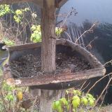 photo 2019-12-14 09-42-20