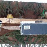 photo 2021-02-11 08-16-02