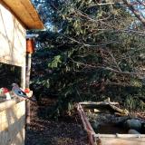 photo 2021-12-18 08-44-34