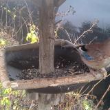 photo 2019-12-23 11-53-47