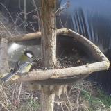 photo 2019-03-15 14-32-40