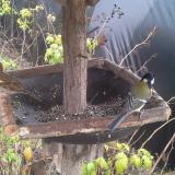 photo 2019-12-14 12-01-58