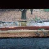 photo 2021-11-28 15-15-35