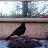 photo 2022-01-21 07-12-00