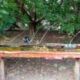 photo 2021-08-23 15-33-12