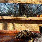 photo 2022-01-23 11-11-53