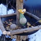 photo 2019-01-14 12-47-04