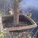 photo 2019-12-25 11-40-01