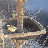 photo 2019-12-30 13-30-40