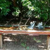 photo 2021-07-21 09-47-13