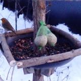 photo 2019-01-10 16-30-29