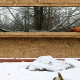 photo 2022-01-22 09-35-12