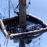 photo 2019-01-09 09-16-21