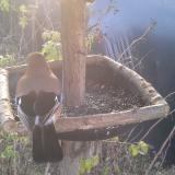 photo 2019-12-17 08-48-48