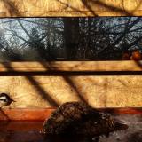 photo 2022-01-24 09-21-29