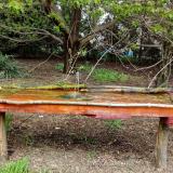 photo 2021-04-19 12-48-29