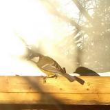 photo 2022-01-15 08-27-04 cinke