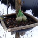 photo 2019-01-10 08-31-29