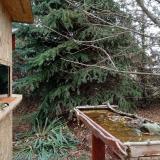 photo 2021-11-19 11-08-30