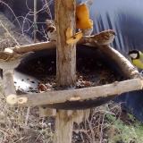 photo 2019-02-08 10-55-29