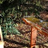 photo 2021-11-09 09-24-21