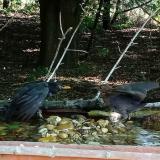 photo 2021-07-24 08-33-05 rigok