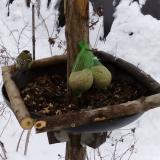 photo 2019-01-09 10-44-36