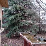 photo 2021-12-11 14-56-20