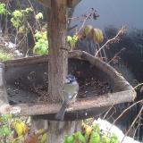 photo 2019-12-02 13-05-22