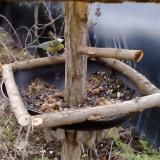 photo 2019-01-02 08-55-42