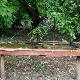 photo 2021-05-24 11-24-28