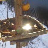 photo 2019-01-27 10-07-04