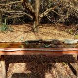 photo 2021-10-26 12-09-53