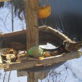 photo 2019-01-27 09-52-28