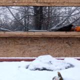 photo 2022-01-22 07-58-31