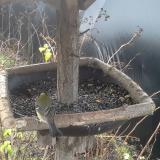 photo 2019-12-25 09-32-50