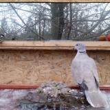 photo 2022-01-20 07-54-43