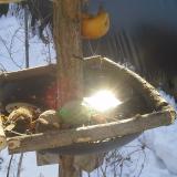 photo 2019-01-27 10-12-32