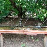 photo 2021-08-03 16-47-40