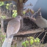 photo 2019-12-12 10-35-13