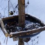 photo 2019-01-09 08-54-59