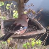 photo 2019-12-12 11-45-56