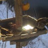 photo 2019-01-27 10-09-59