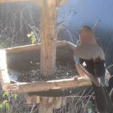 photo 2019-12-26 10-09-21