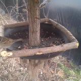 photo 2019-03-02 08-36-36