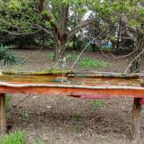 photo 2021-04-20 12-28-44