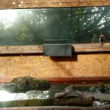 photo 2023-10-24 08-51-57