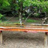 photo 2021-04-30 14-07-23