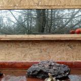 photo 2022-01-31 12-14-55