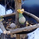 photo 2019-01-15 09-01-24